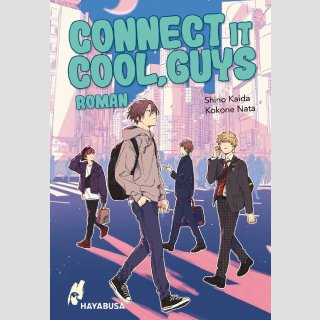 Connect it Cool, Guys [Roman] (Einzelband)