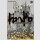DOROHEDORO Perfect Edition Bd. 11 (Ende)